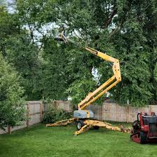 Best Tree and Shrub Care  in Rushville, IN